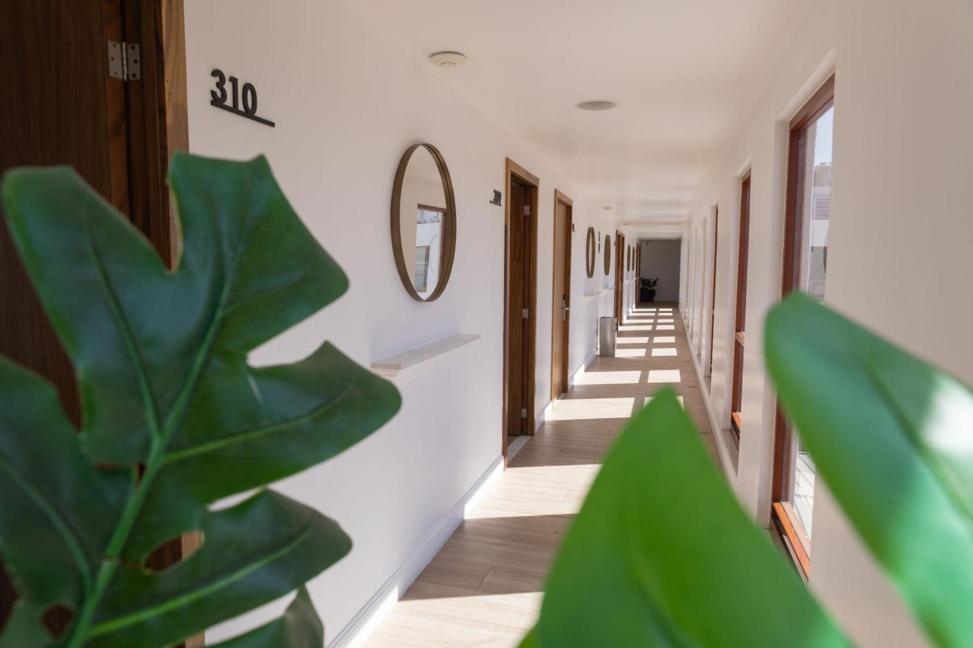 Six Hotel Guadalajara Degollado 외부 사진